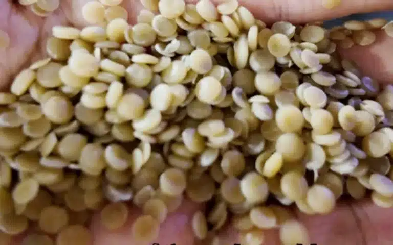 Recycled PE pellets produced from PE powder